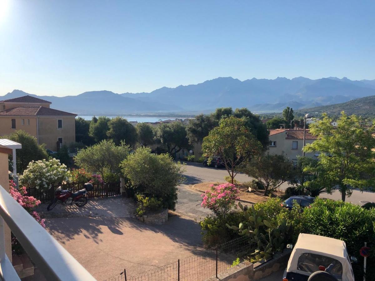 Vue Et Montagne * Calvi (Corsica)