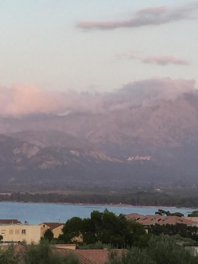 Vue Et Montagne